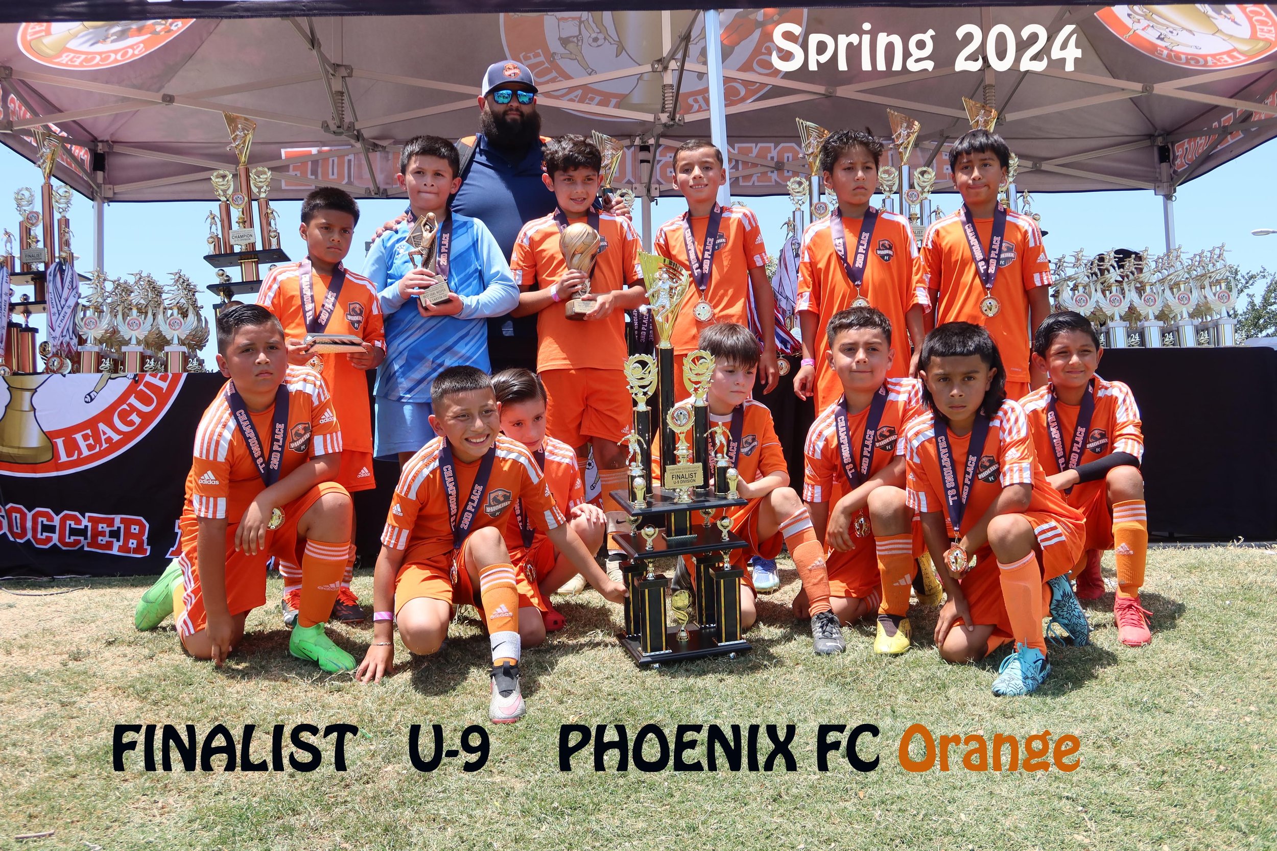 Sports League - Champions Soccer League